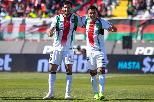 Palestino festejó con su público ante Cobresal