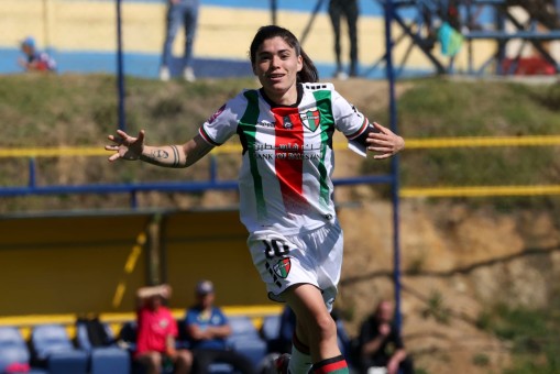 Palestino desplaza a Everton de los playoffs