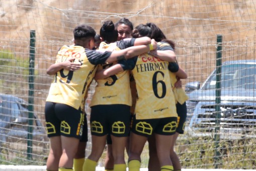 Coquimbo Unido goleó y se instaló en semifinales